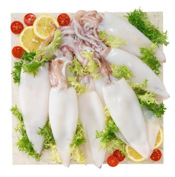 Tintenfisch Tuben U10 TK